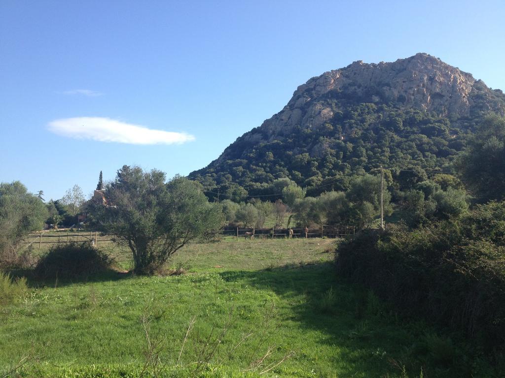 Agriturismo La Casa Delle Fate Loiri Porto San Paolo Dış mekan fotoğraf