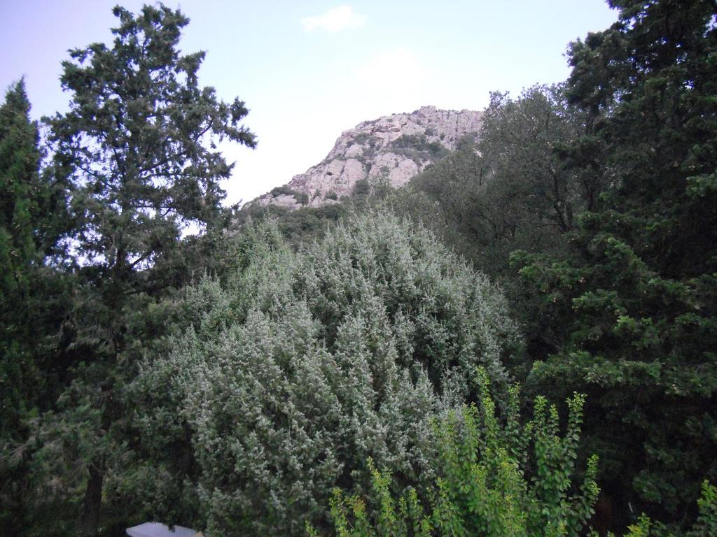 Agriturismo La Casa Delle Fate Loiri Porto San Paolo Dış mekan fotoğraf
