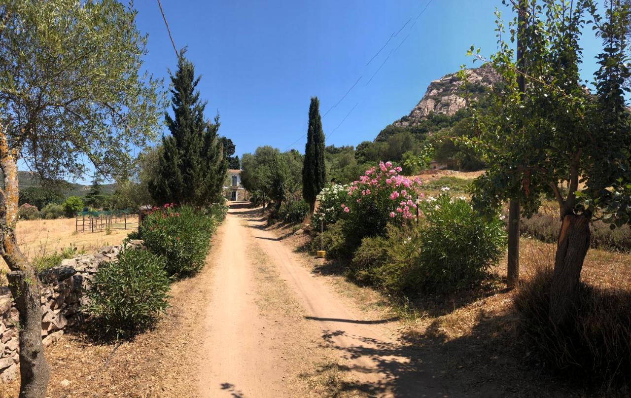 Agriturismo La Casa Delle Fate Loiri Porto San Paolo Dış mekan fotoğraf