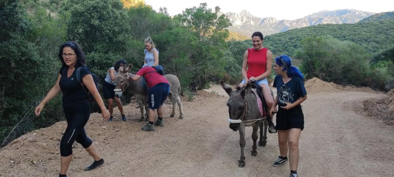 Agriturismo La Casa Delle Fate Loiri Porto San Paolo Dış mekan fotoğraf