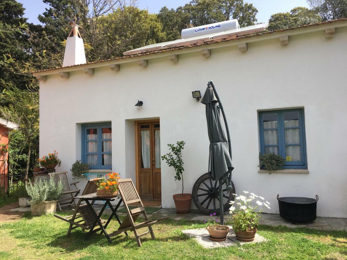 Agriturismo La Casa Delle Fate Loiri Porto San Paolo Dış mekan fotoğraf