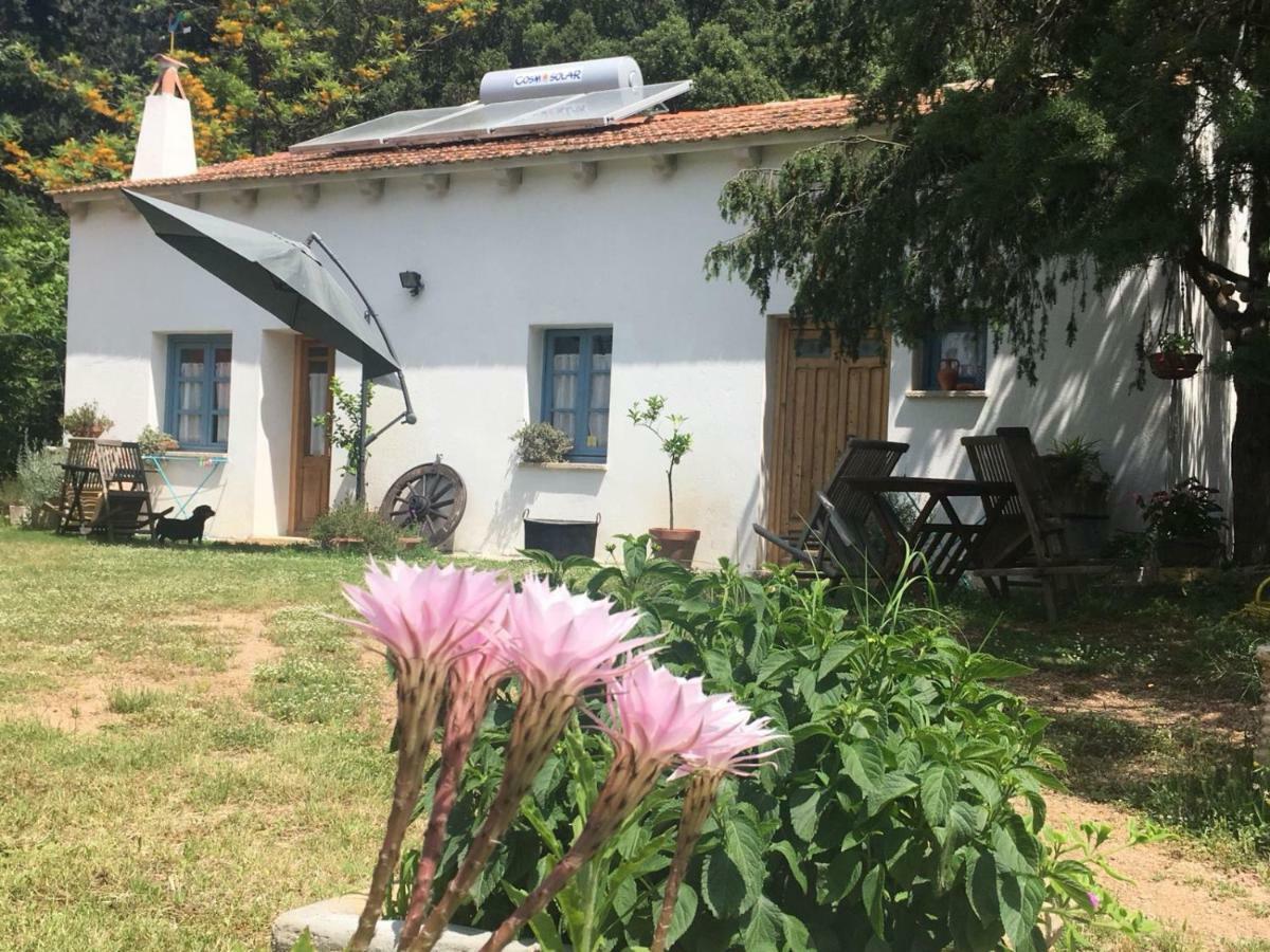 Agriturismo La Casa Delle Fate Loiri Porto San Paolo Dış mekan fotoğraf